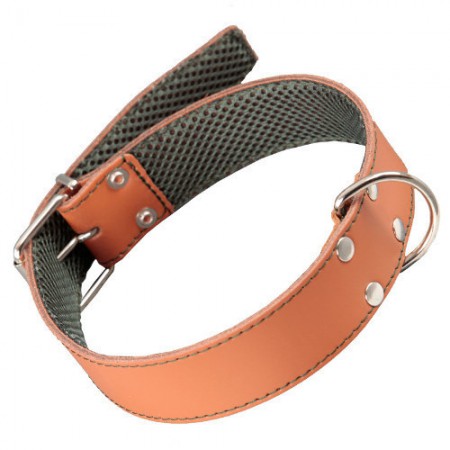 /products/collar-de-cuir/
